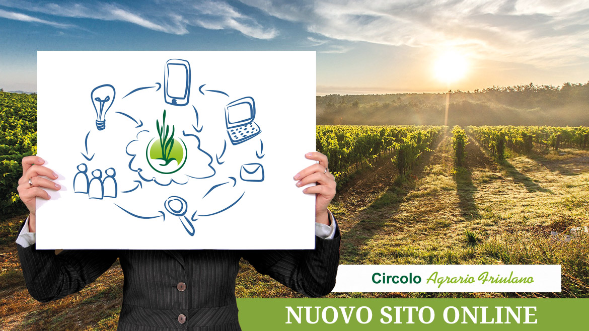 Nuovo sito online
