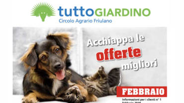 Offerte • Febbario 2019