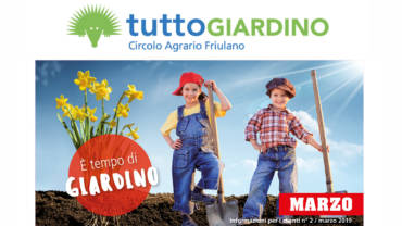 Offerte • Marzo 2019