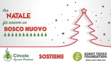 “Per Natale: fai nascere un bosco nuovo”