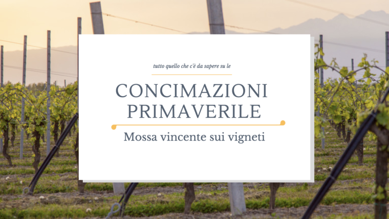 Concimazione primaverile della vite!