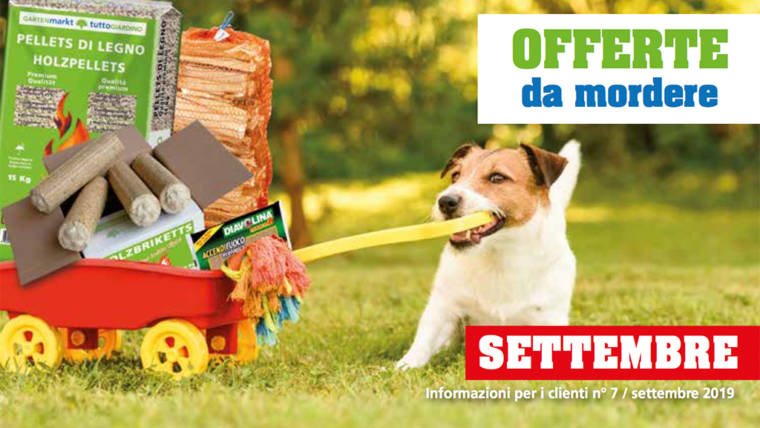 Offerte • SETTEMBRE 2019