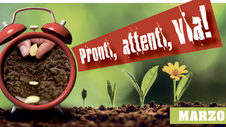 Offerte • MARZO 2020