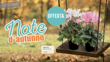Offerte • Ottobre 2018
