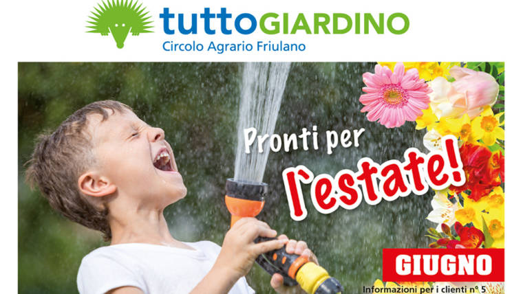 Offerte • Giugno 2019
