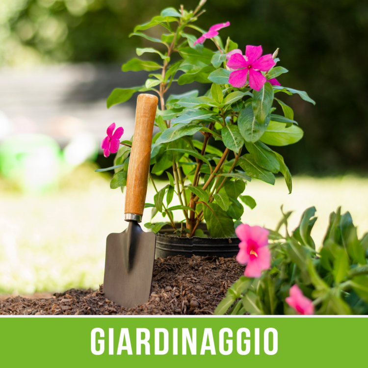 GIARDINAGGIO